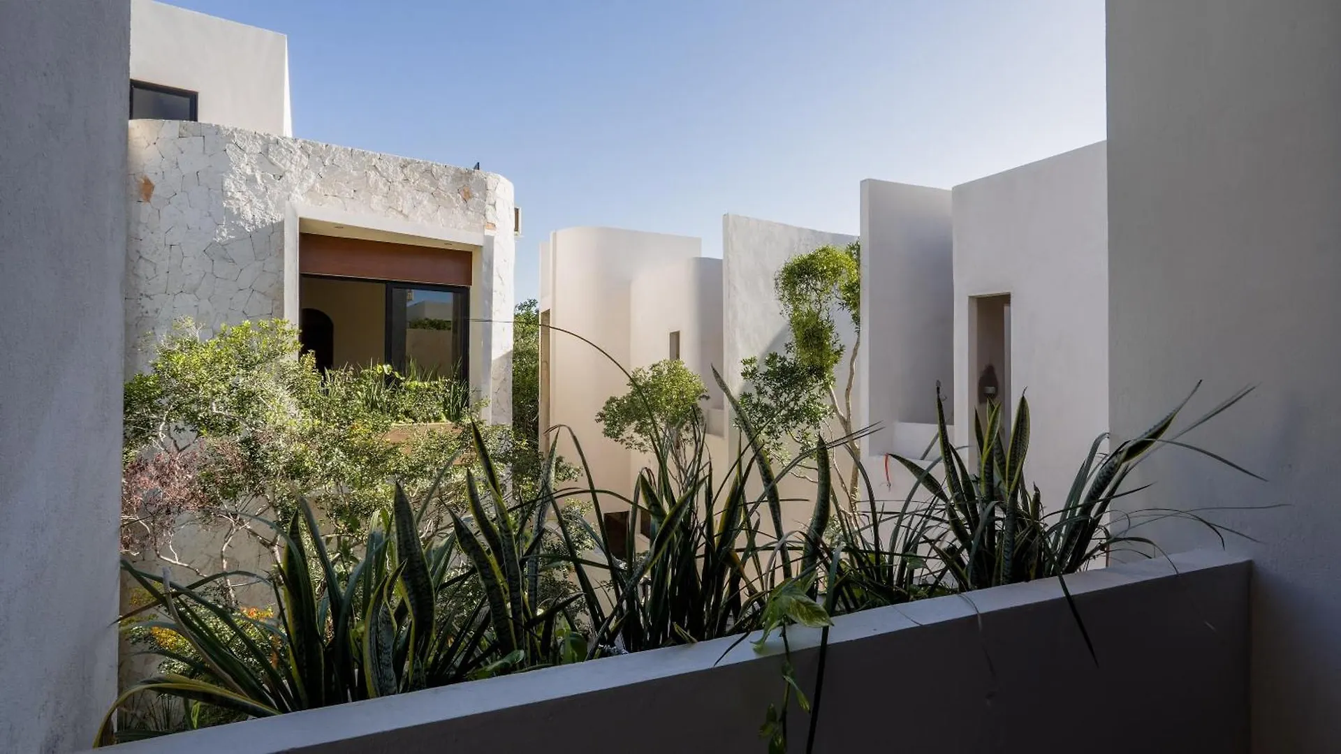 Divine House With Private Roof And Pool Only 1Km From The Beach Tulum Holiday home