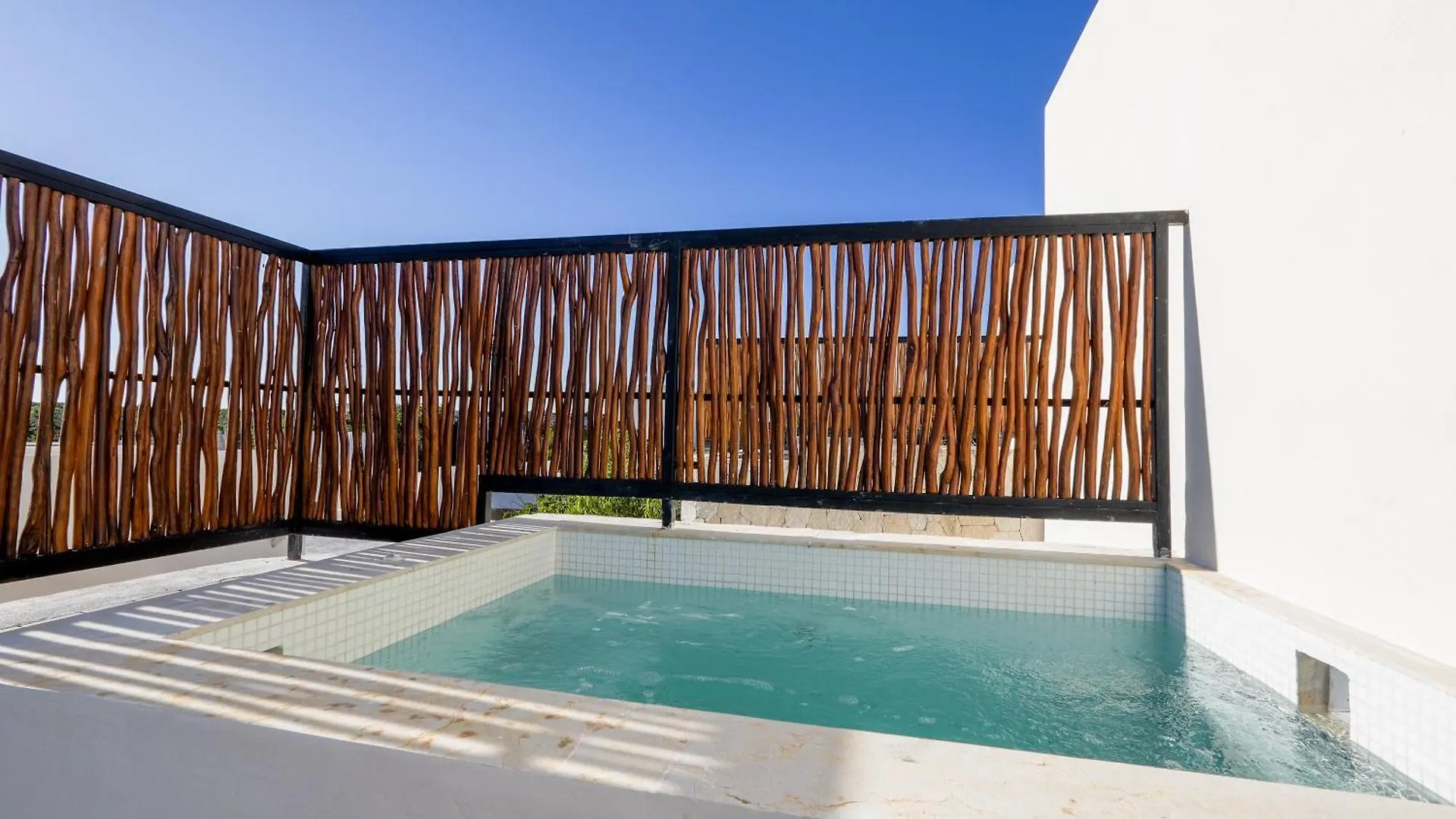Divine House With Private Roof And Pool Only 1Km From The Beach Tulum