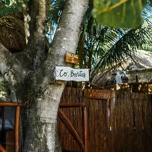 Hotel Eco Banitas